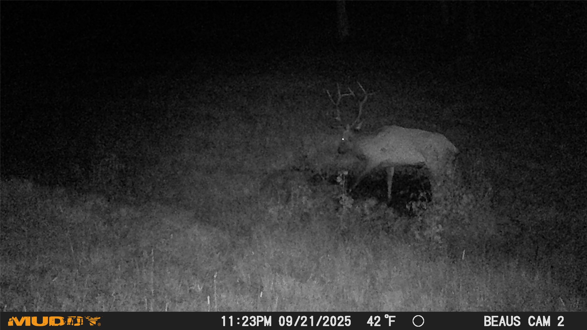Lot 7 Ruby Mine Road Property Photo 19