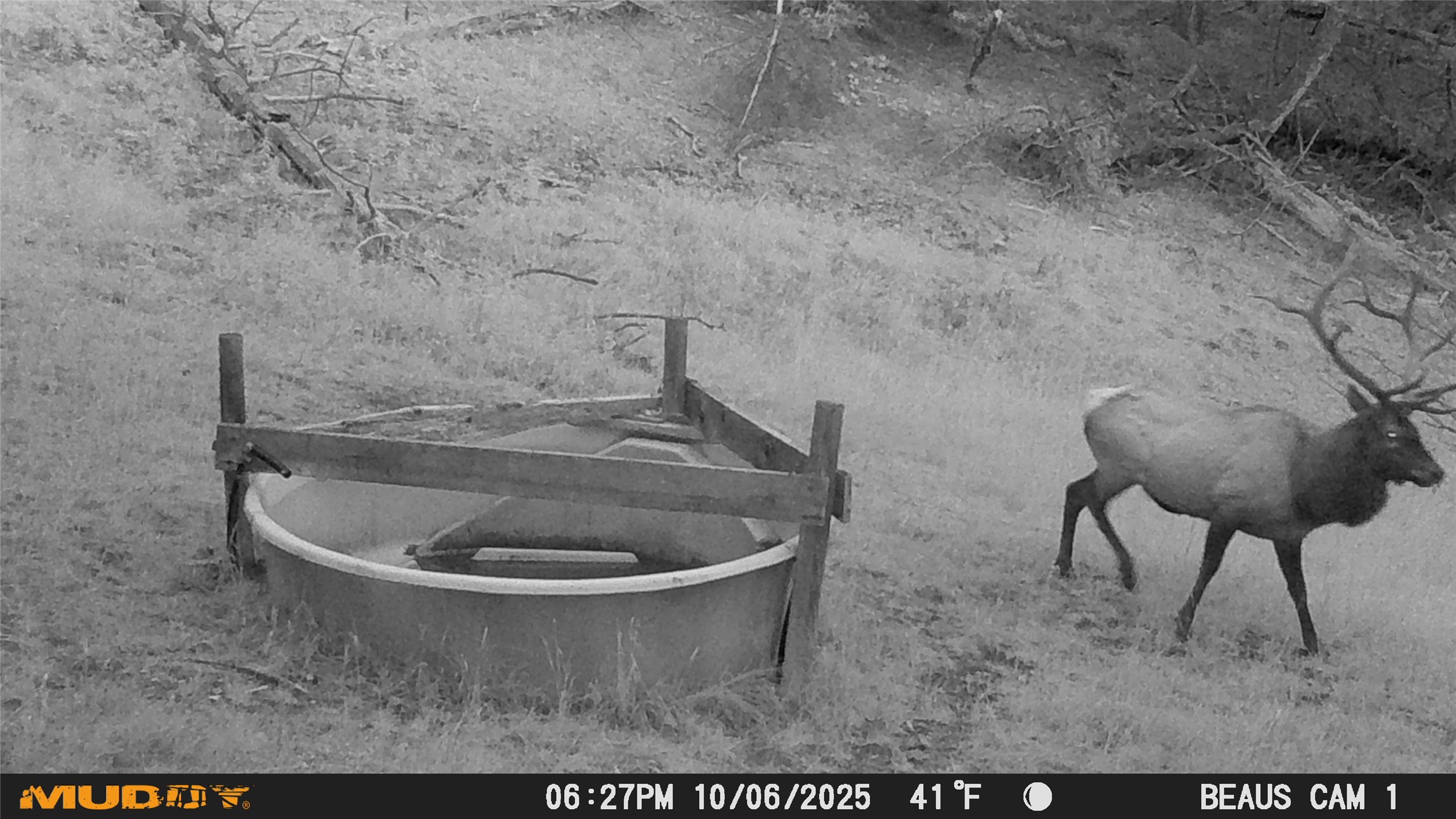 Lot 7 Ruby Mine Road Property Photo 20