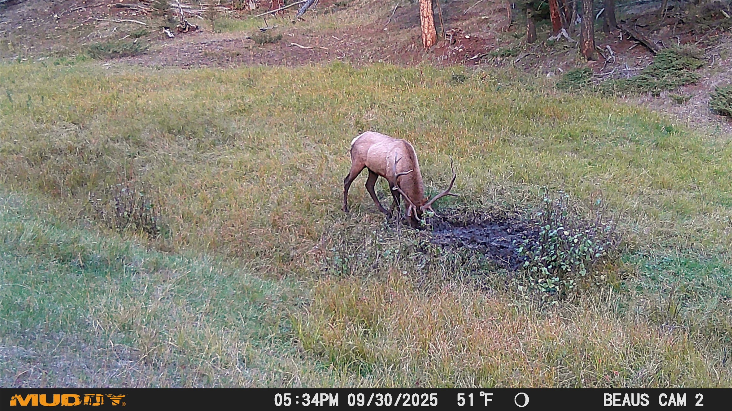 Lot 7 Ruby Mine Road Property Photo 21