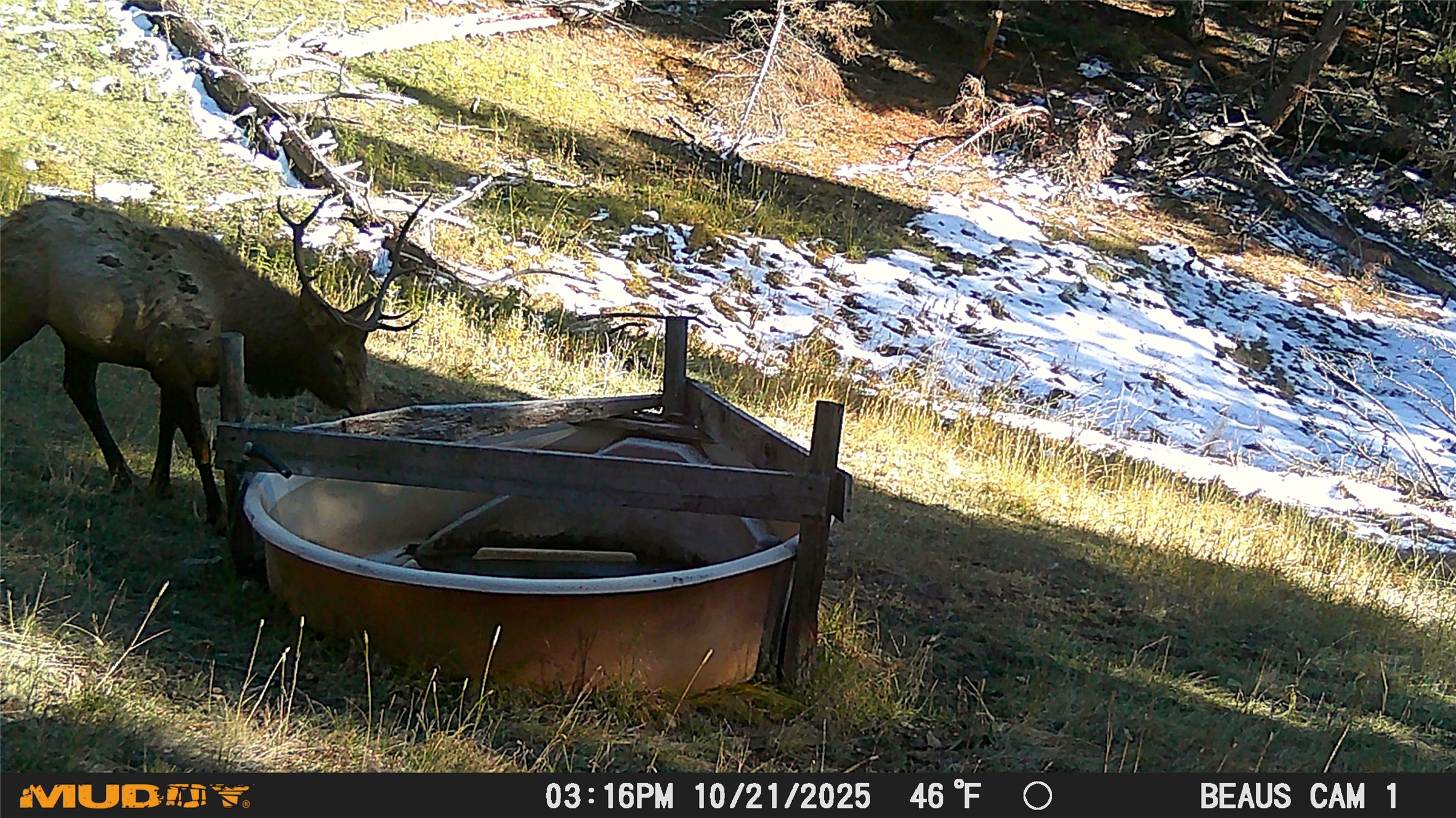 Lot 7 Ruby Mine Road Property Photo 24