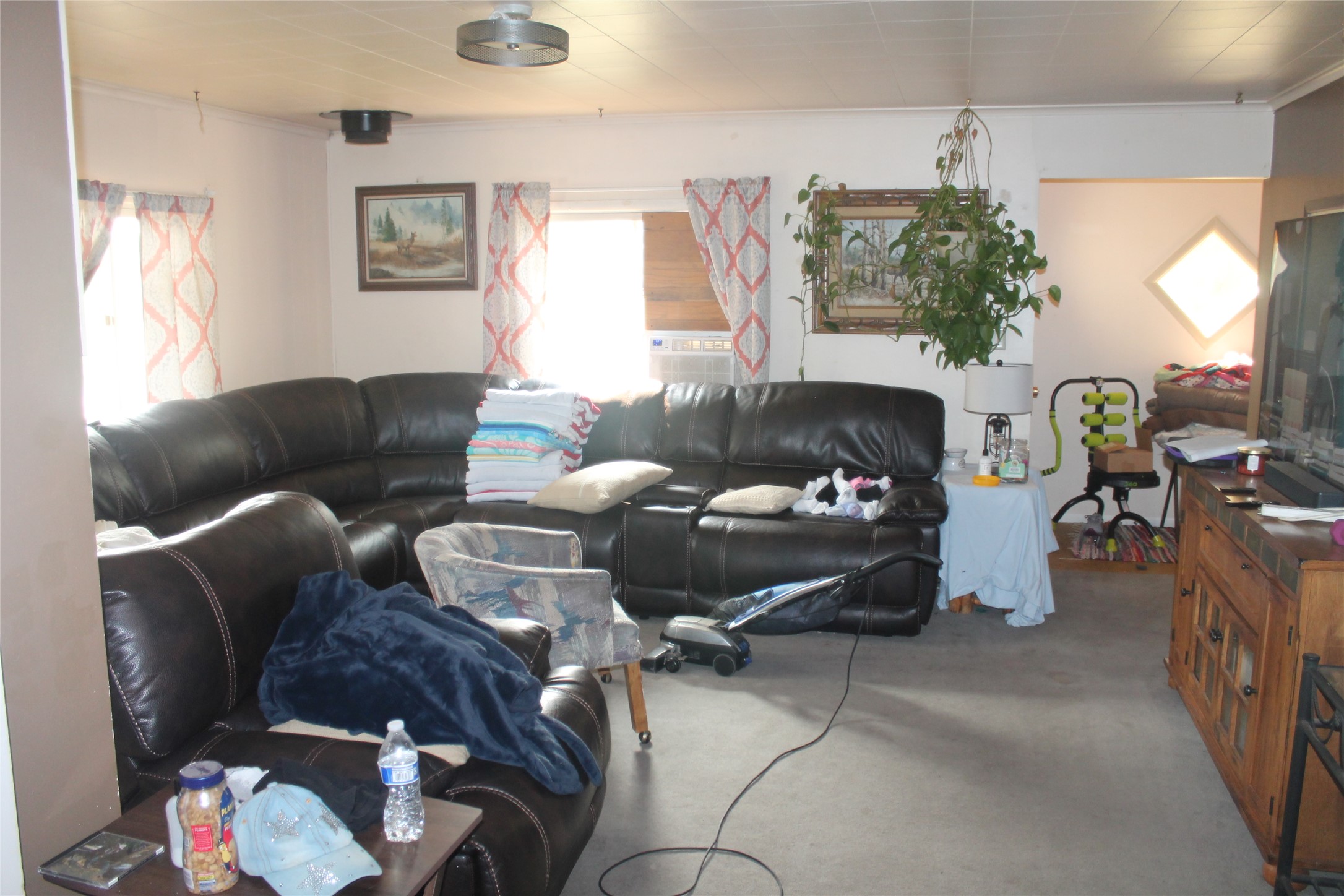 437 Maple Drive Property Photo 4