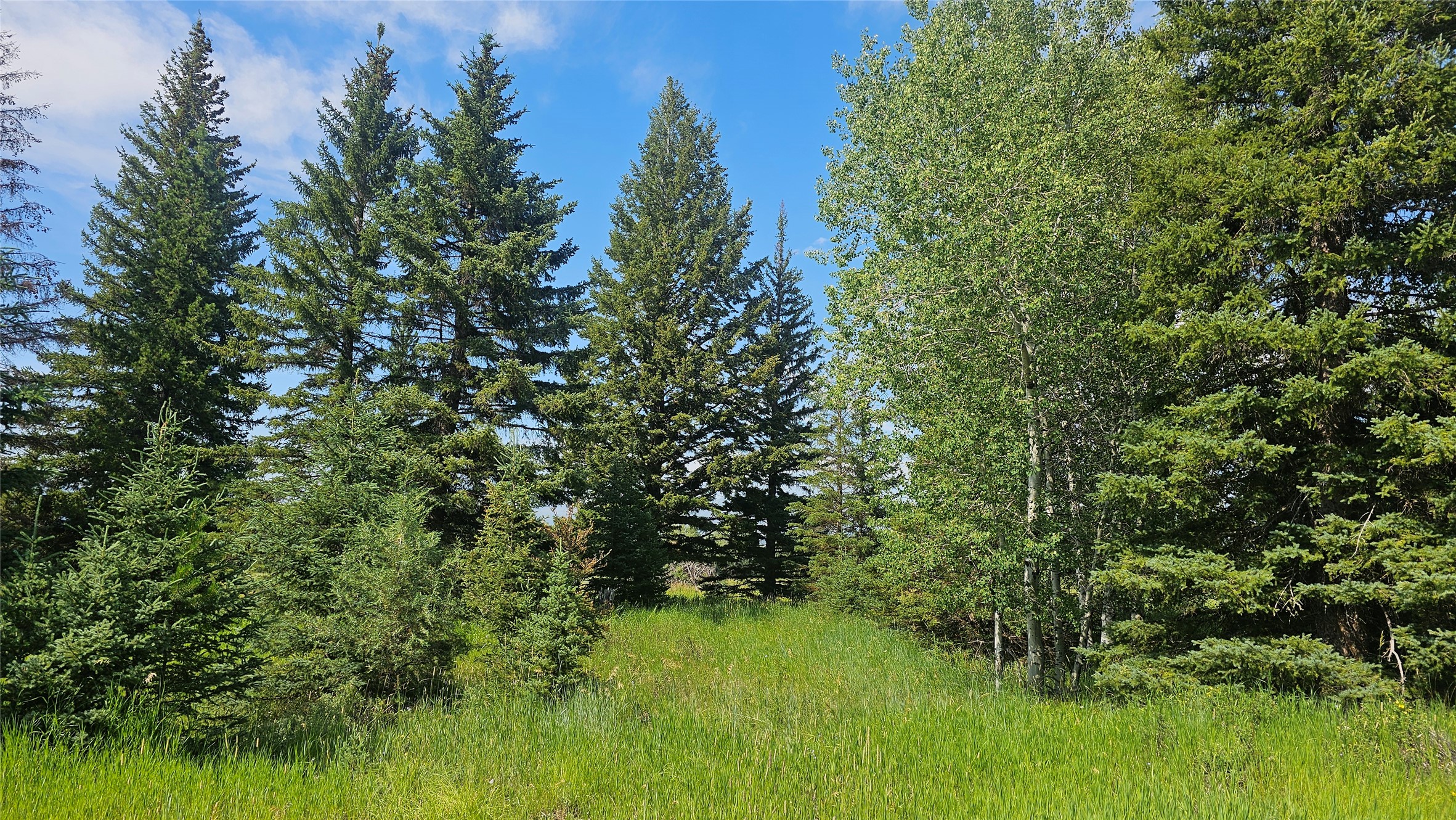 Na W Willow Creek Road Property Photo 5