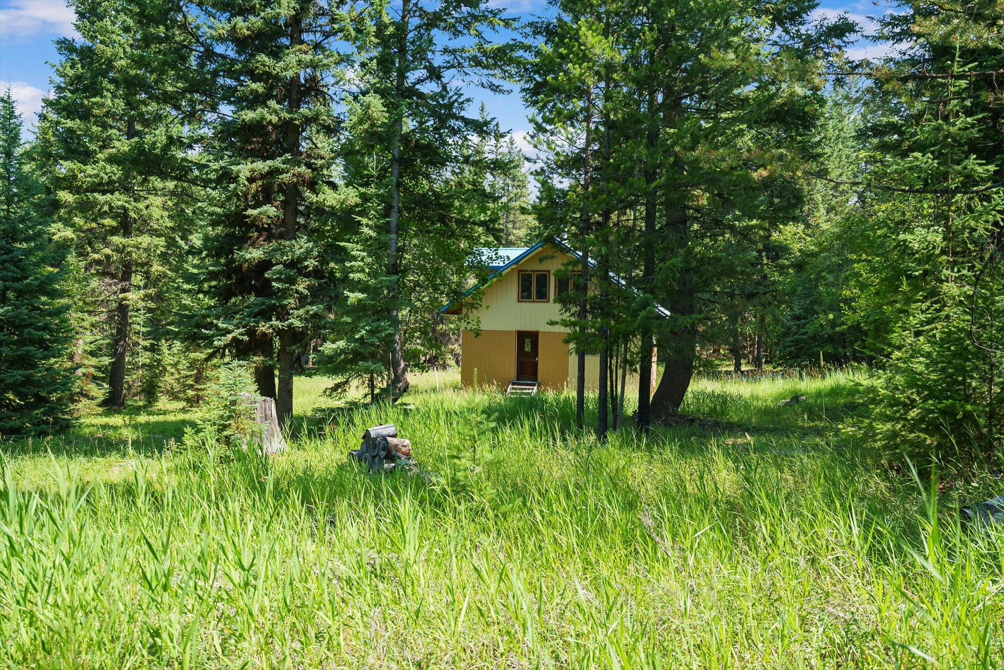 205 Bales Creek Trail Property Photo 57