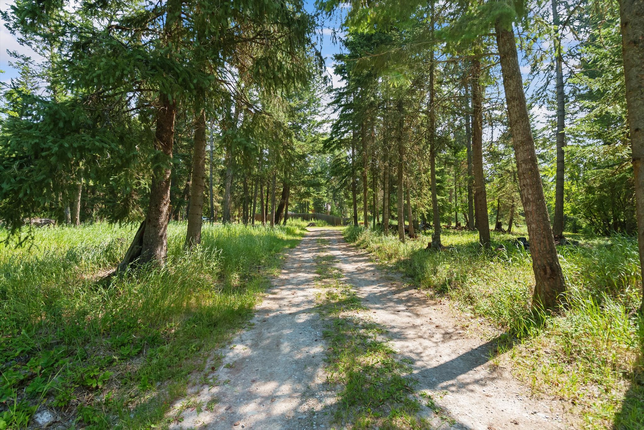 205 Bales Creek Trail Property Photo 58