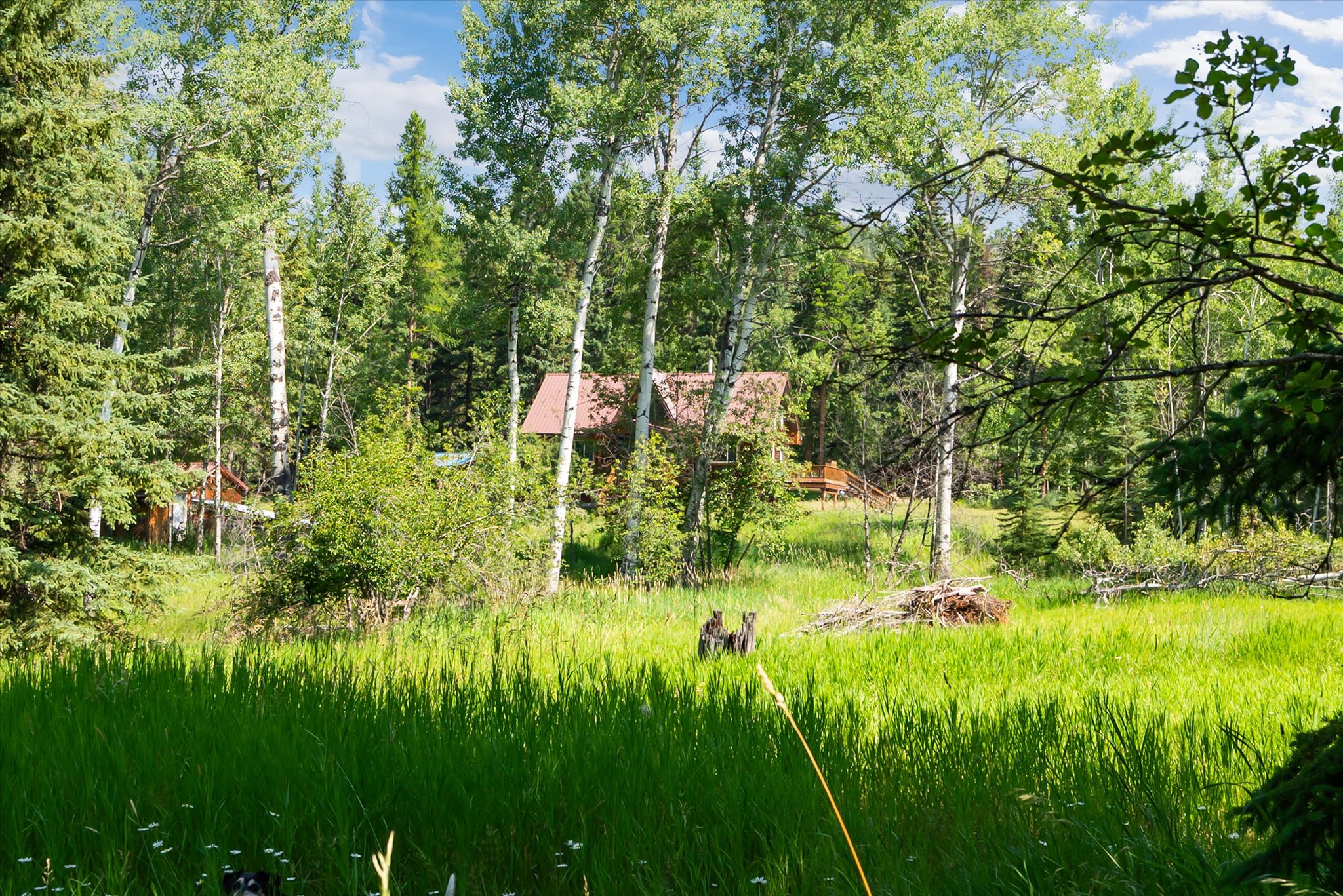 205 Bales Creek Trail Property Photo 59