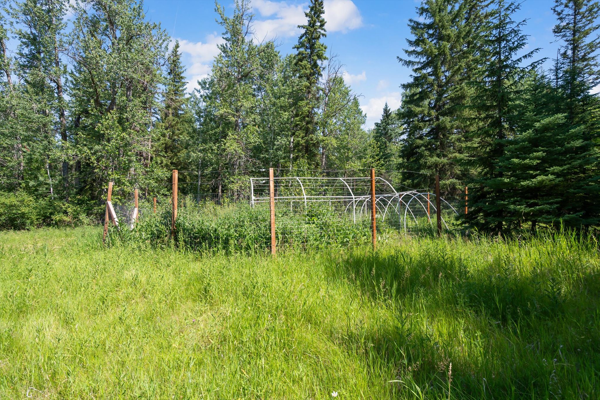 205 Bales Creek Trail Property Photo 60