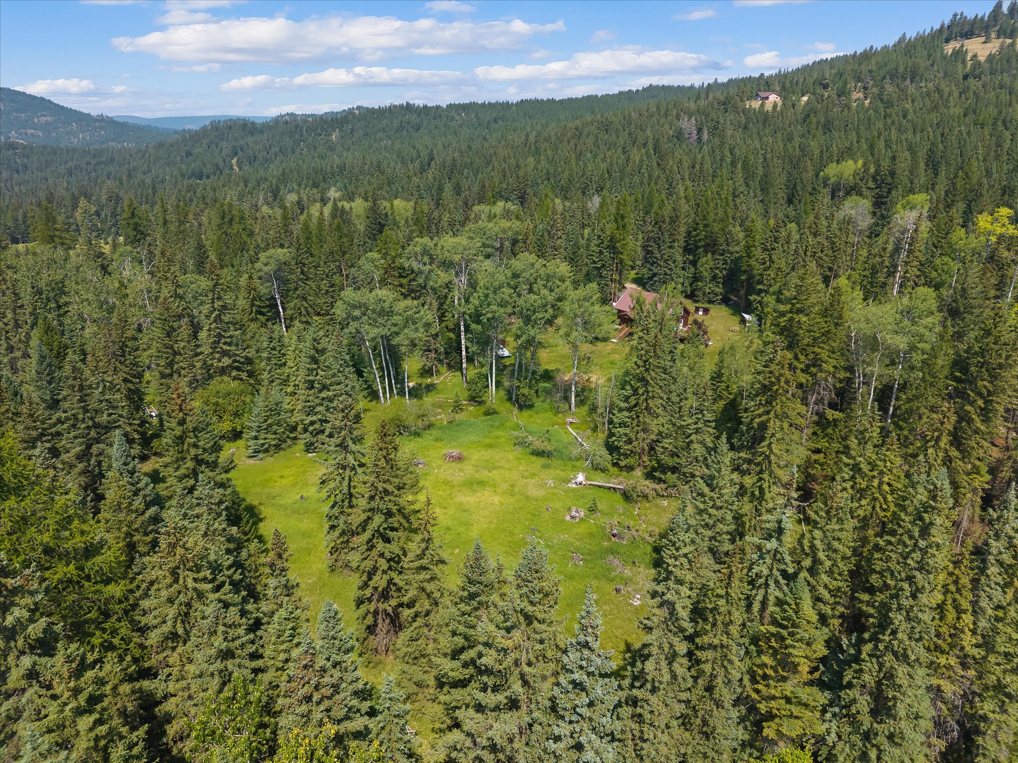 205 Bales Creek Trail Property Photo 70