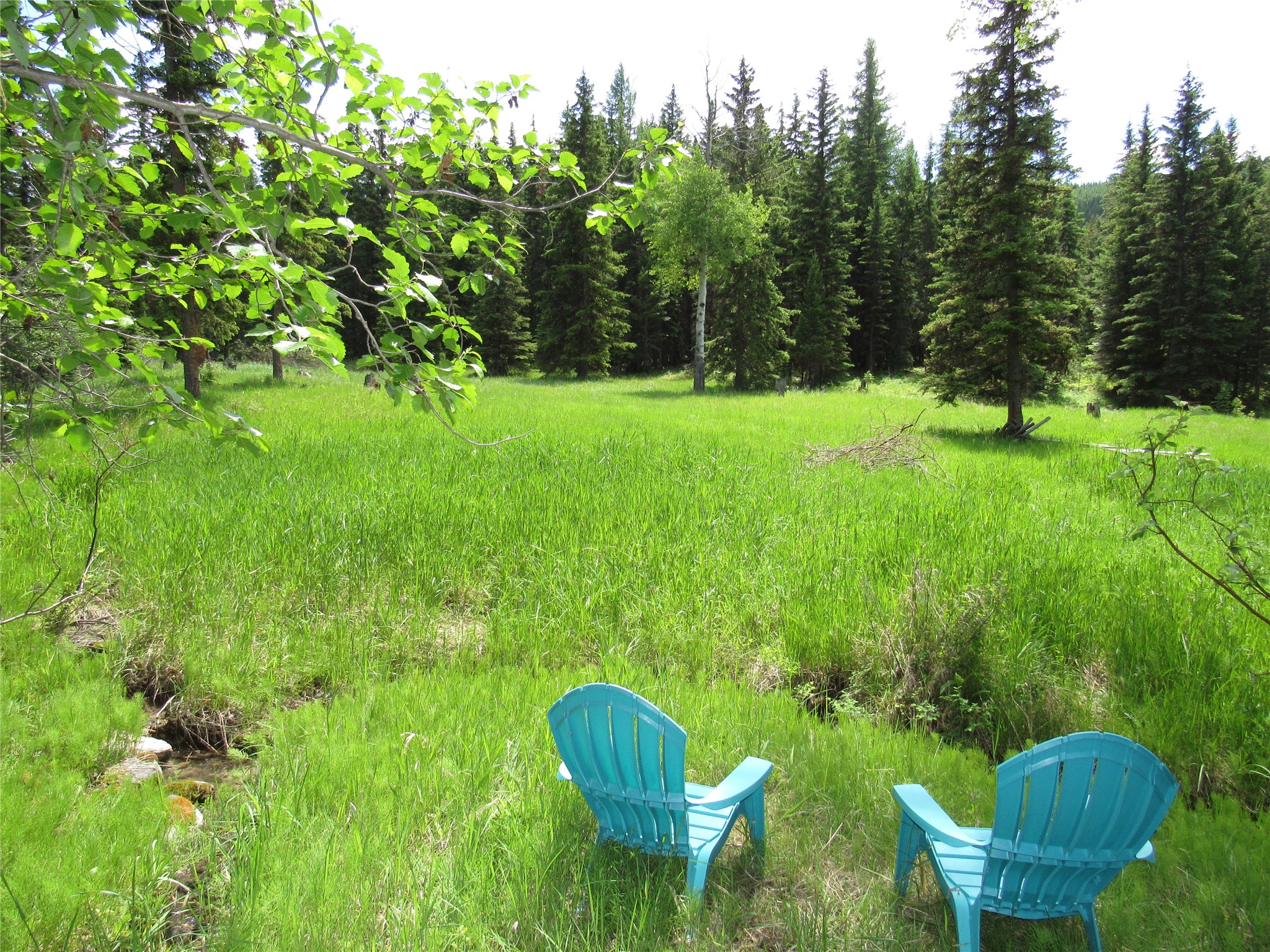 205 Bales Creek Trail Property Photo 77