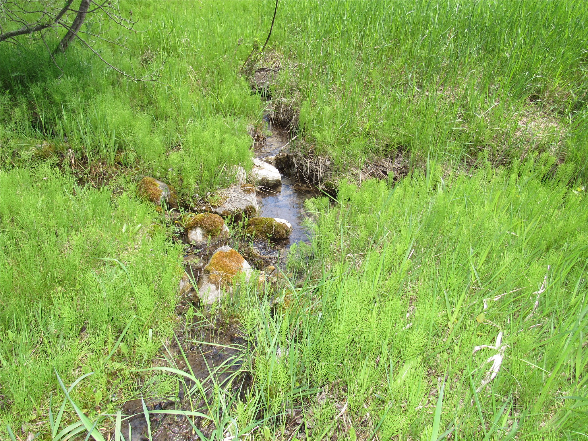 205 Bales Creek Trail Property Photo 78