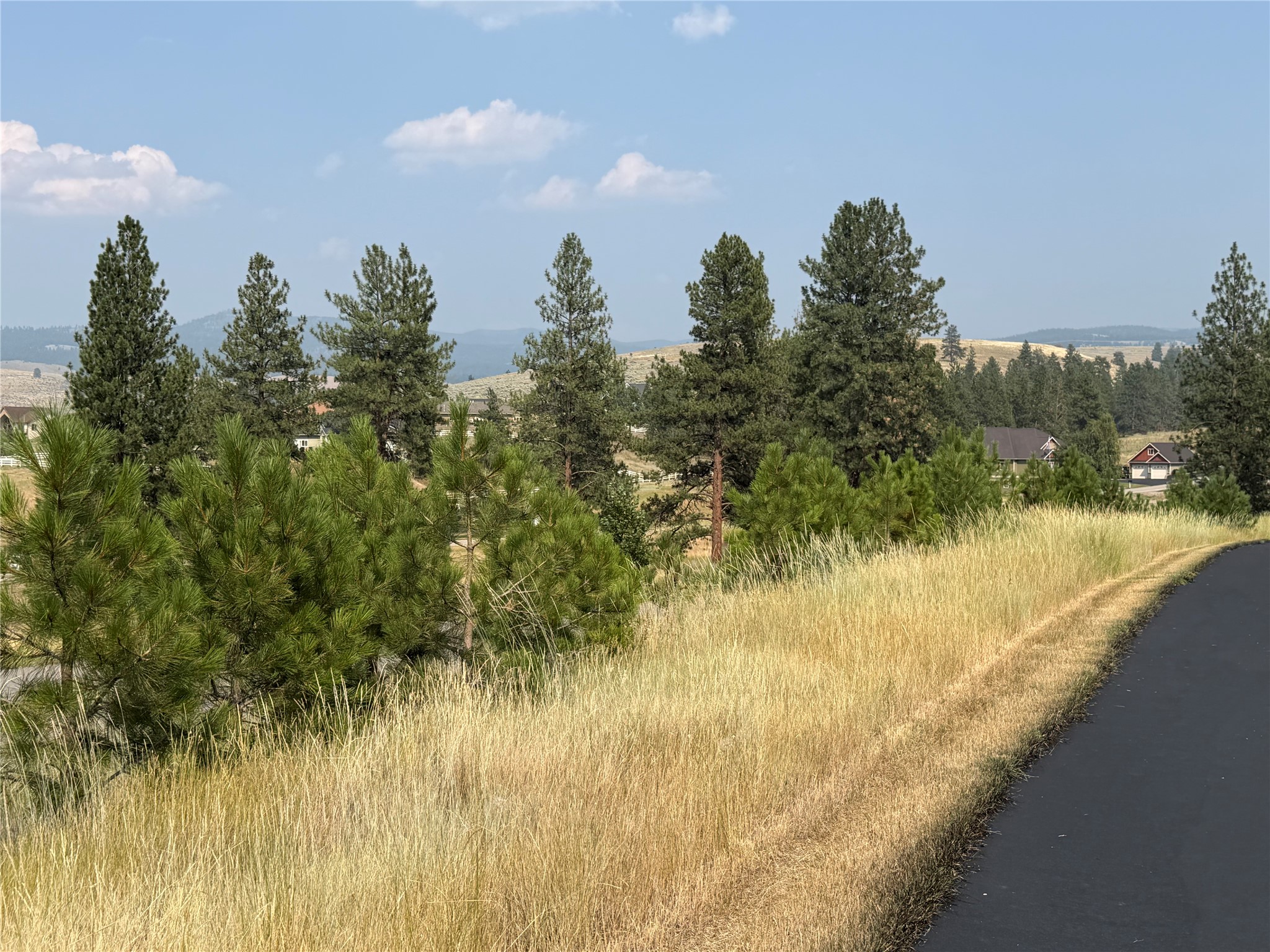984 Sandhill Loop Property Photo 2