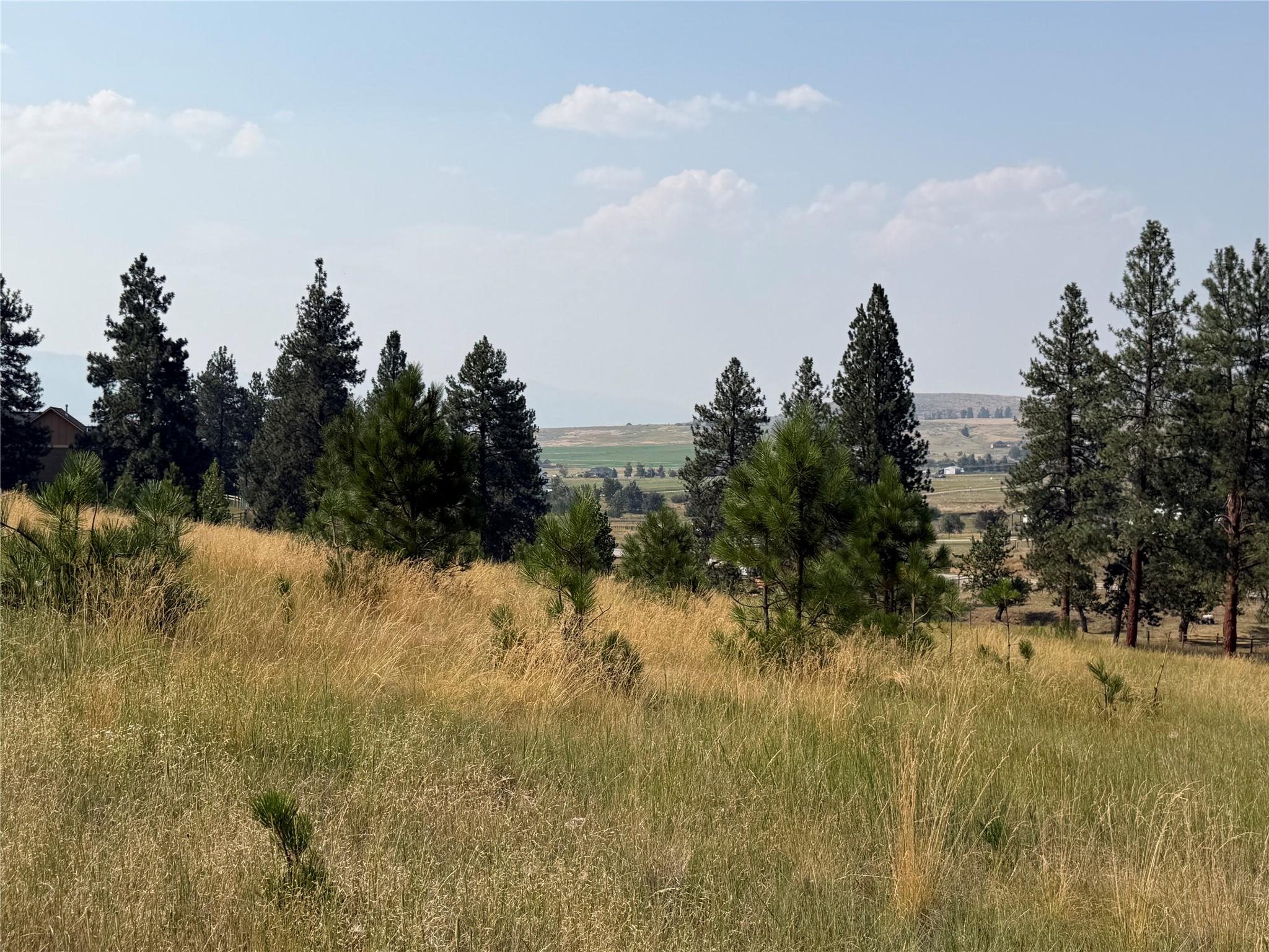 984 Sandhill Loop Property Photo 4