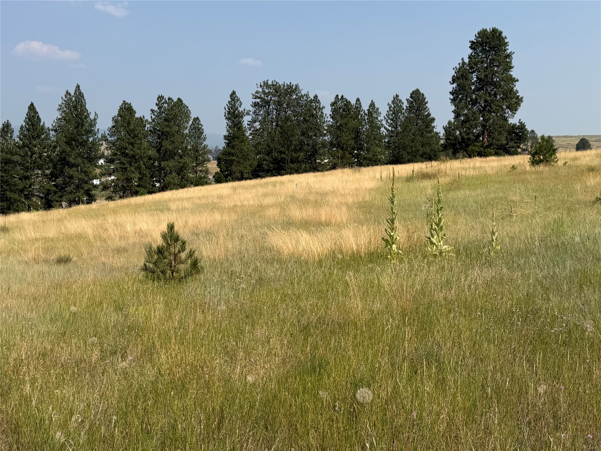 984 Sandhill Loop Property Photo 8