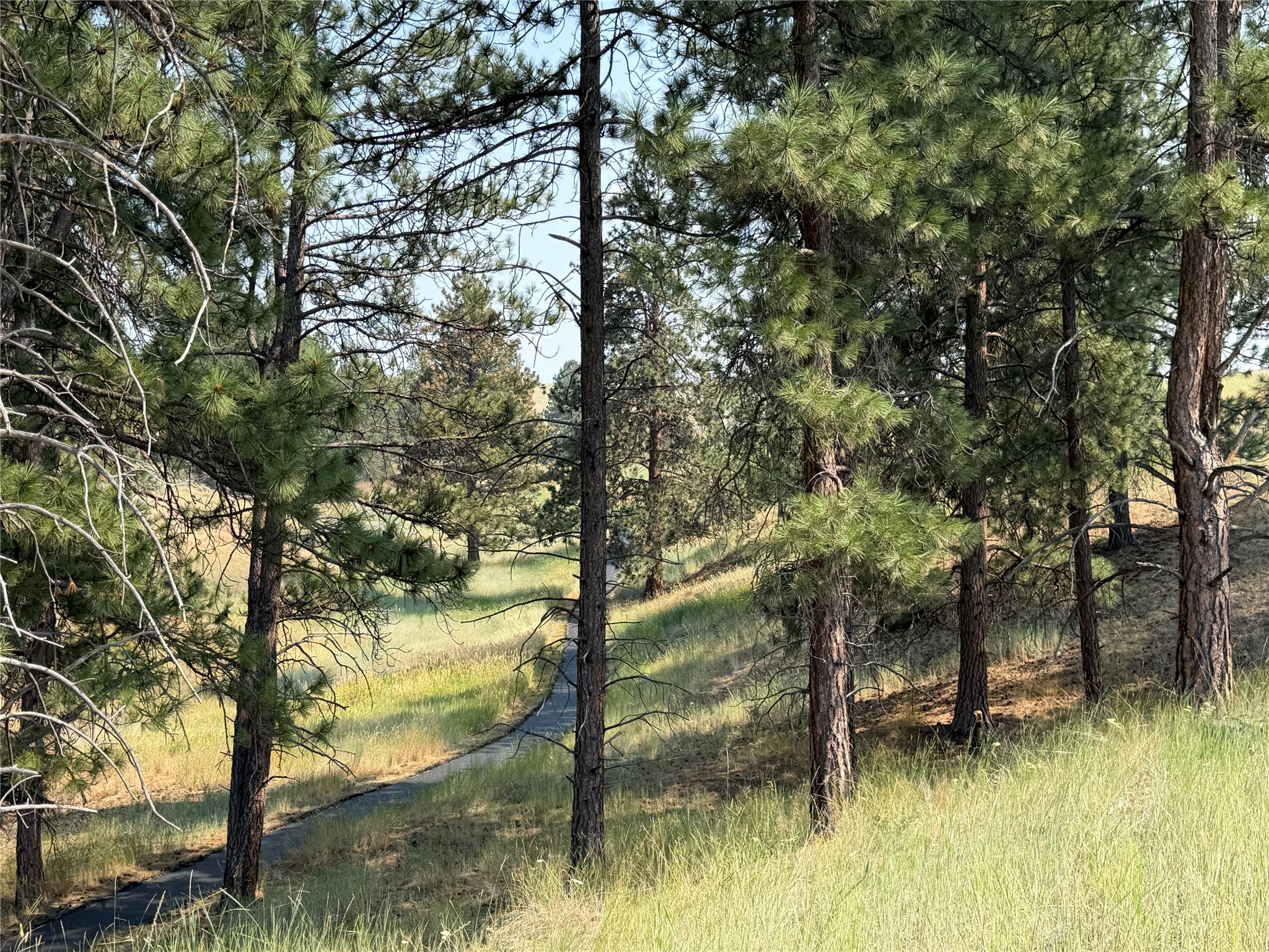 984 Sandhill Loop Property Photo 9