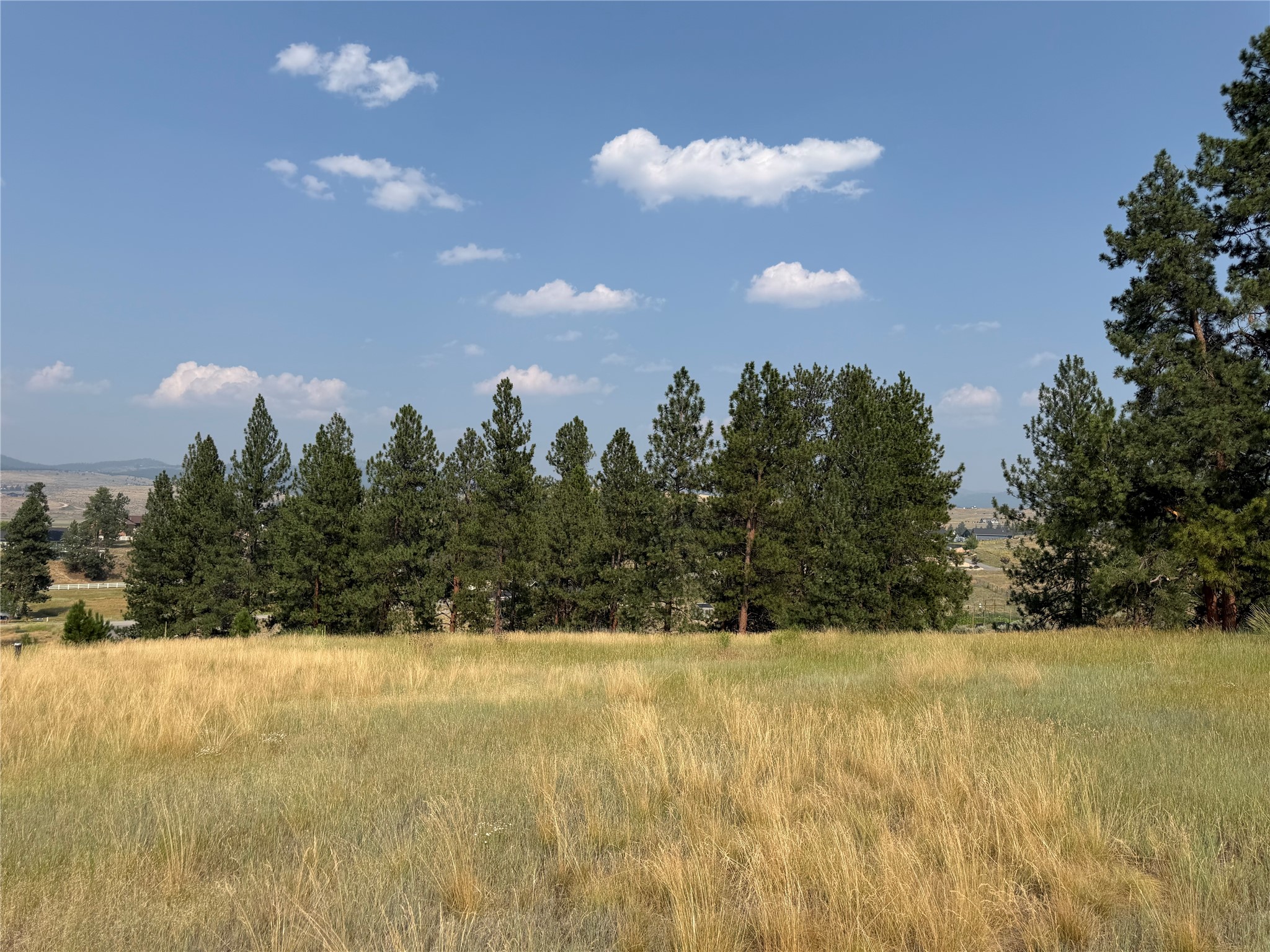 984 Sandhill Loop Property Photo 12