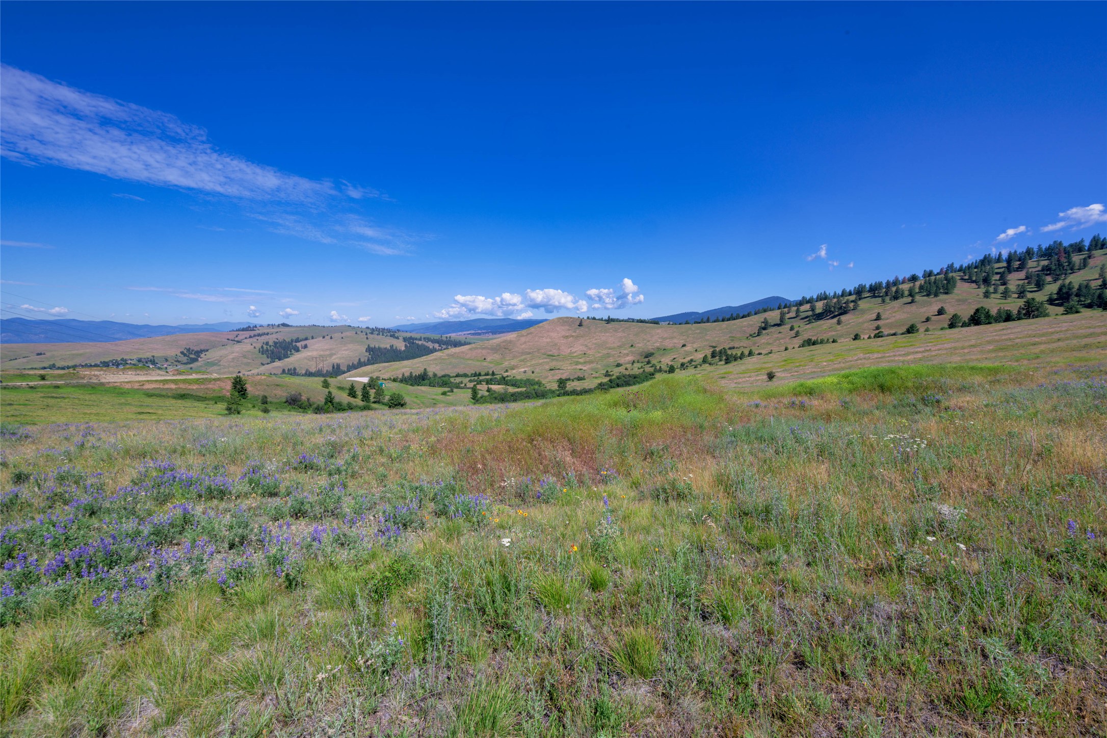 Nhn Gleneagle Way Property Photo 6