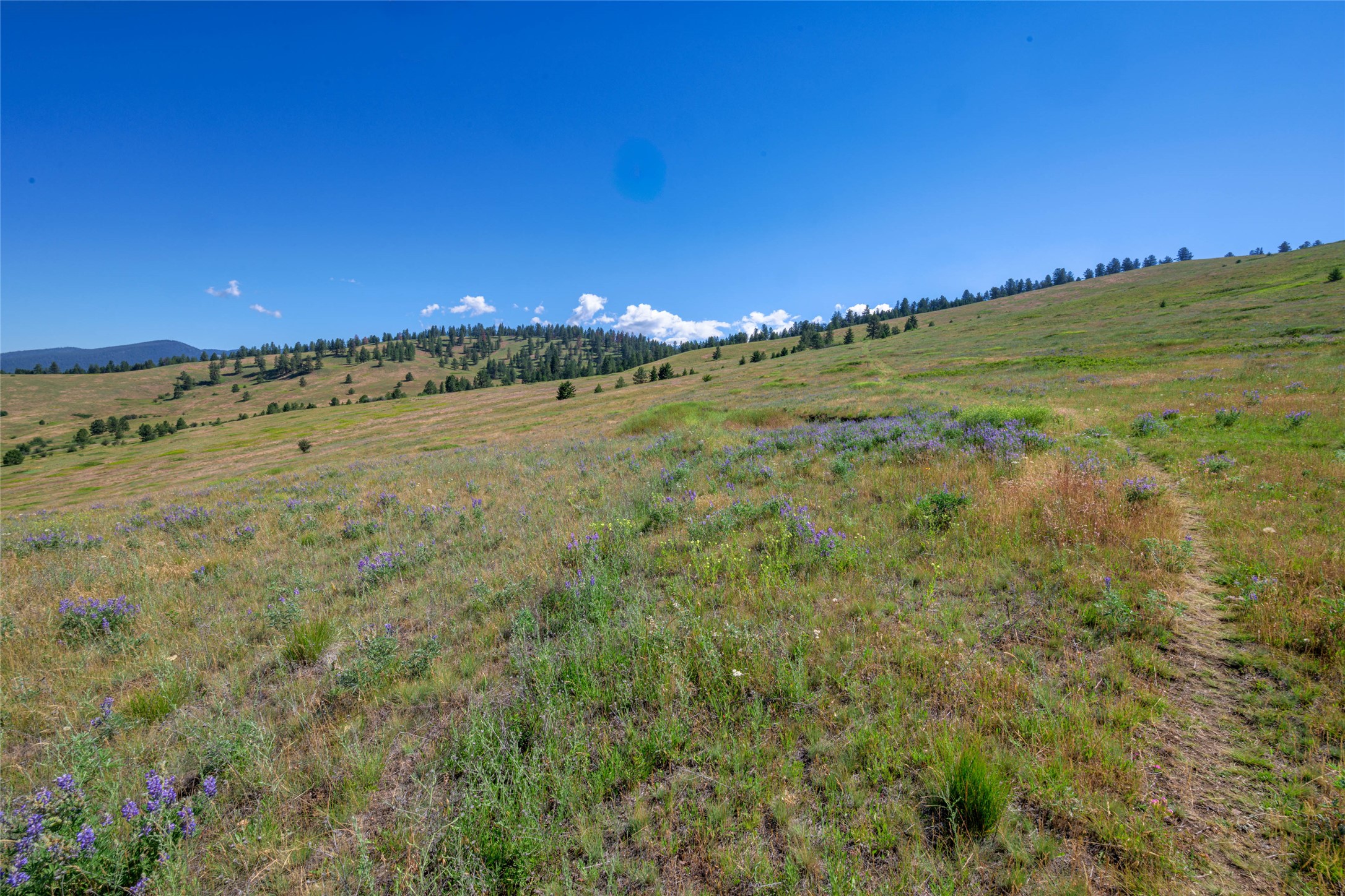 Nhn Gleneagle Way Property Photo 7
