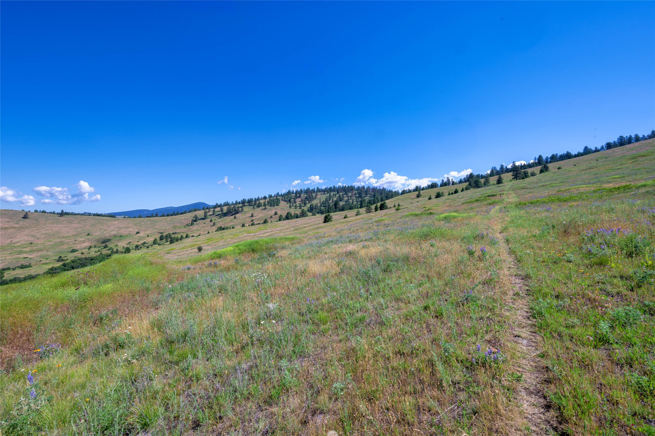 Nhn Gleneagle Way Property Photo 8