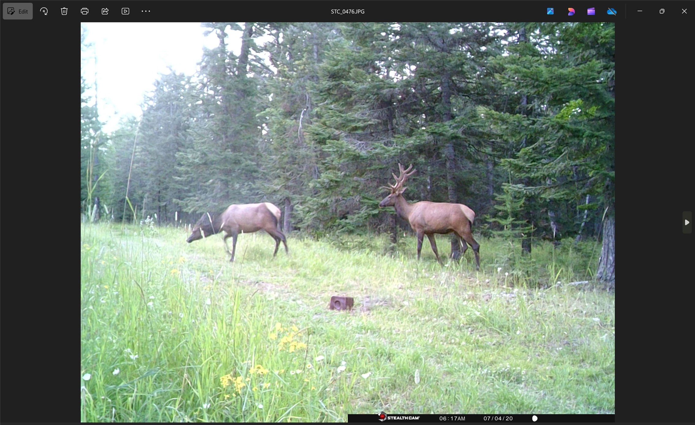 3039 And 3005 Foothill Road Property Photo 171