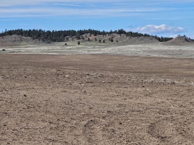 Nhn Moon Creek Road Property Photo 8