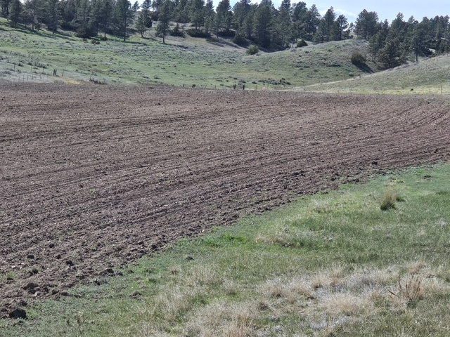 Nhn Moon Creek Road Property Photo 19