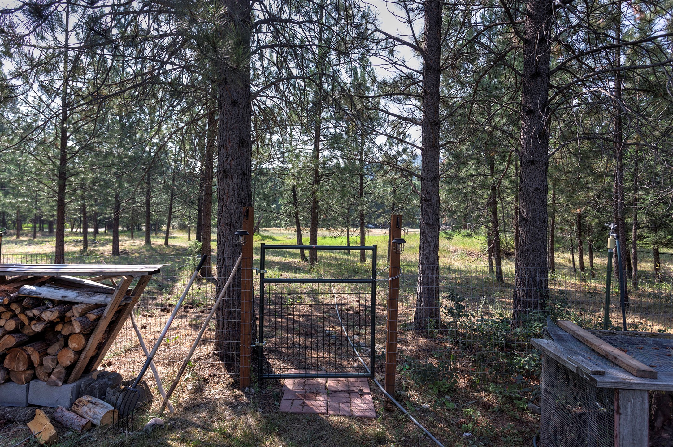 9781 Highway 12 W Property Photo 40