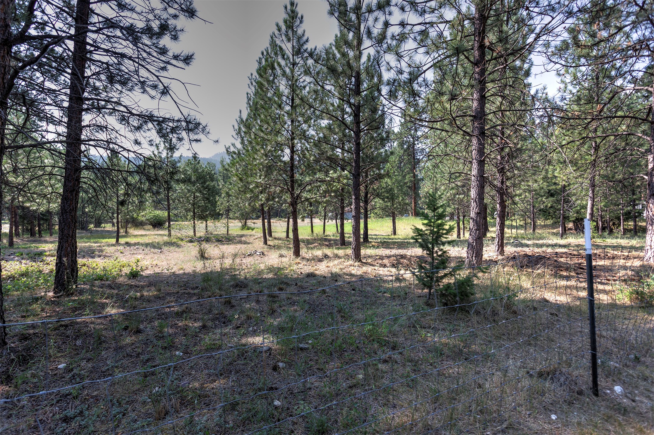 9781 Highway 12 W Property Photo 45