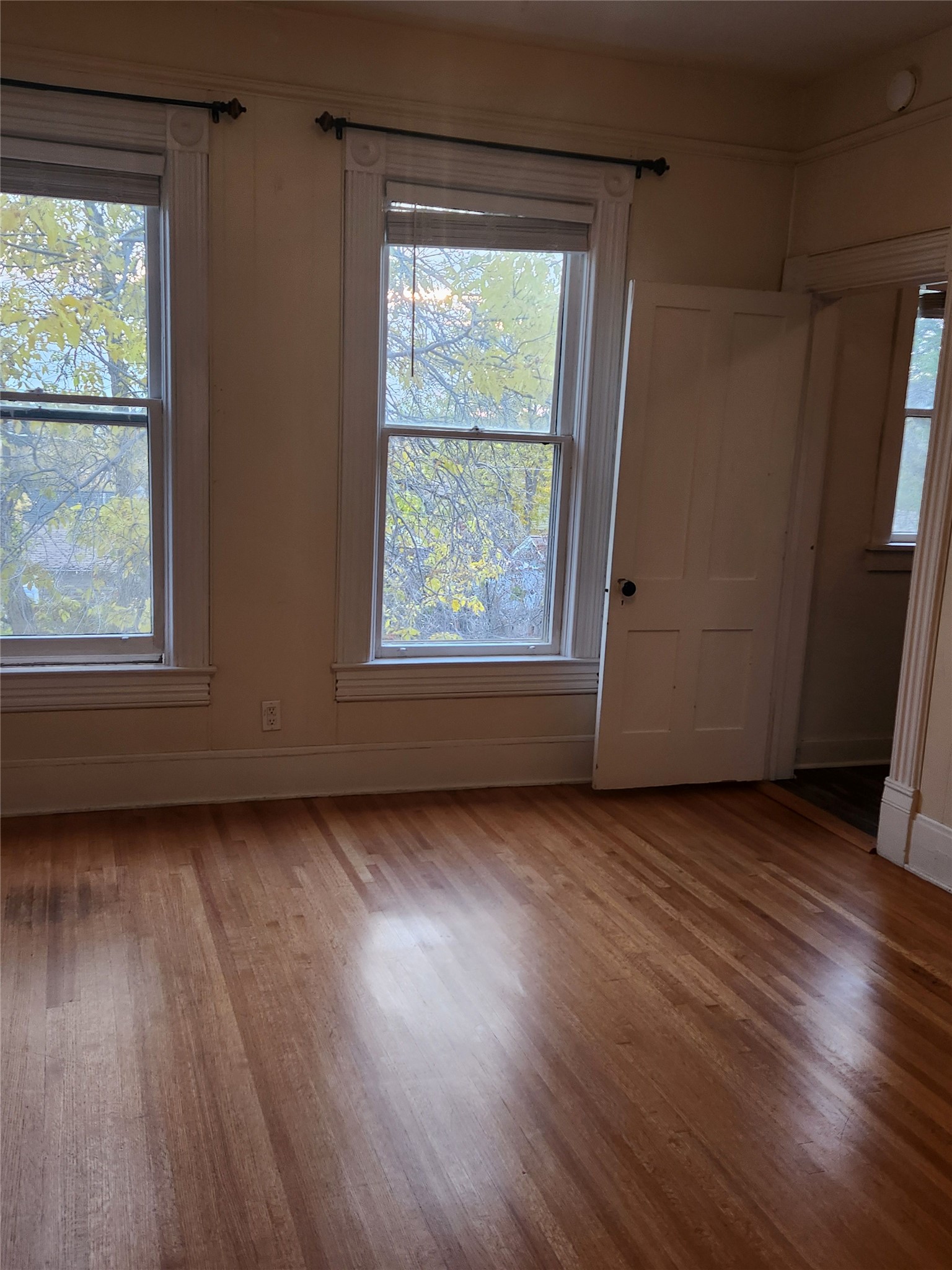 407 Madison Avenue Property Photo 17