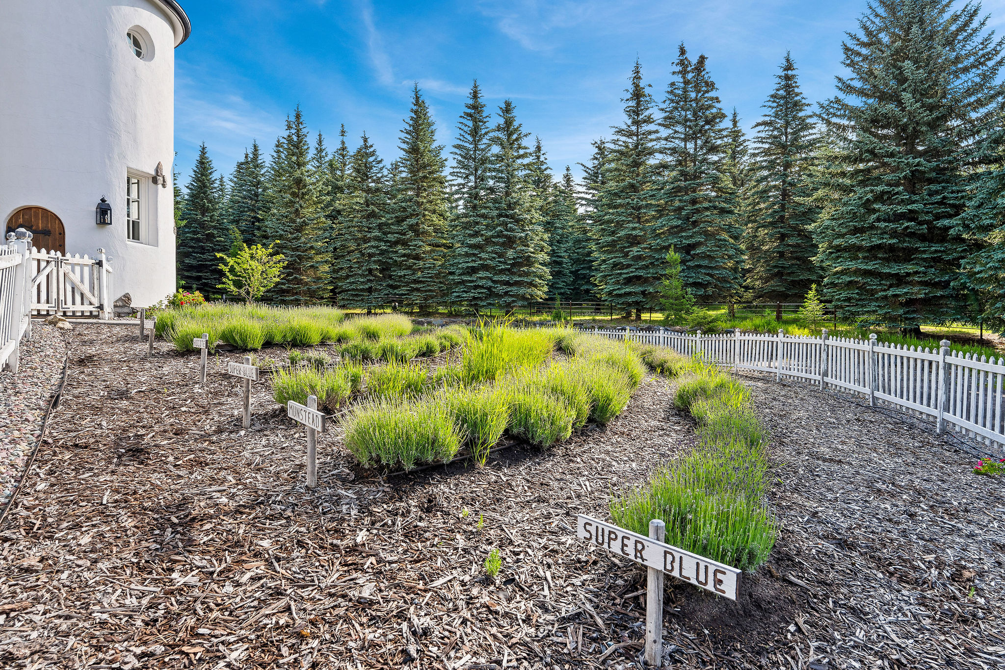 3039 And 3005 Foothill Road Property Photo 113