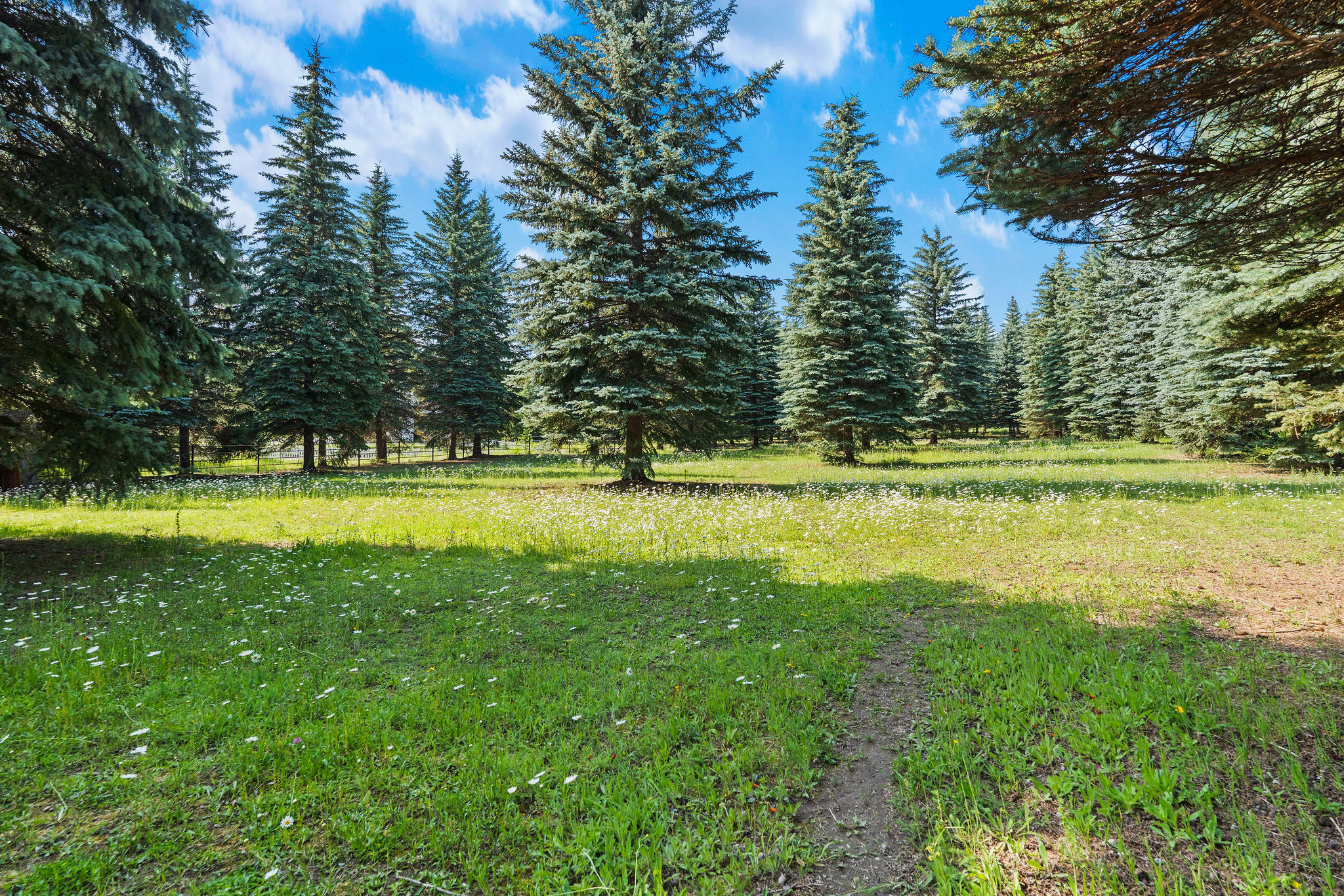 3039 And 3005 Foothill Road Property Photo 169