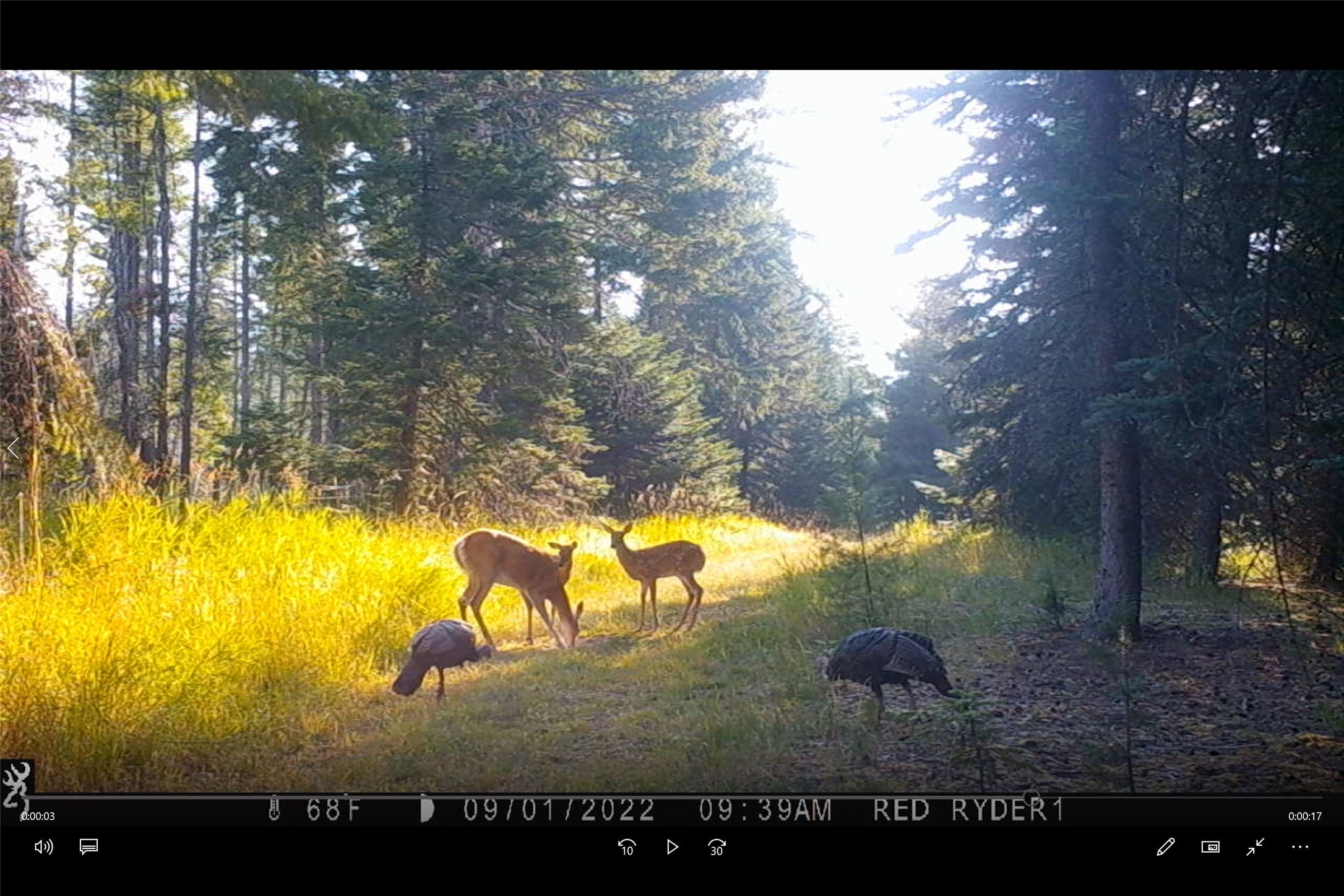 3039 And 3005 Foothill Road Property Photo 175