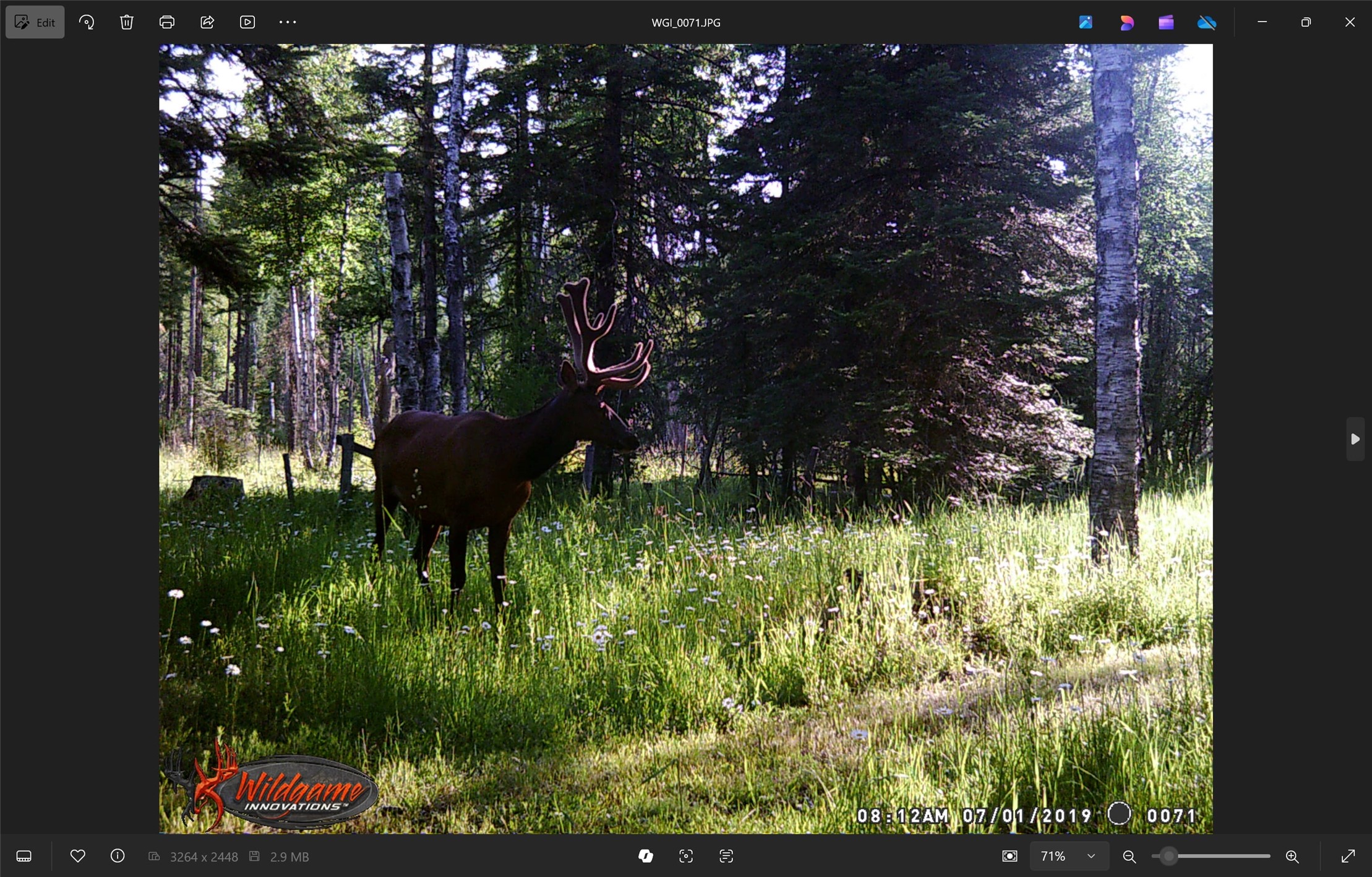 3039 And 3005 Foothill Road Property Photo 182