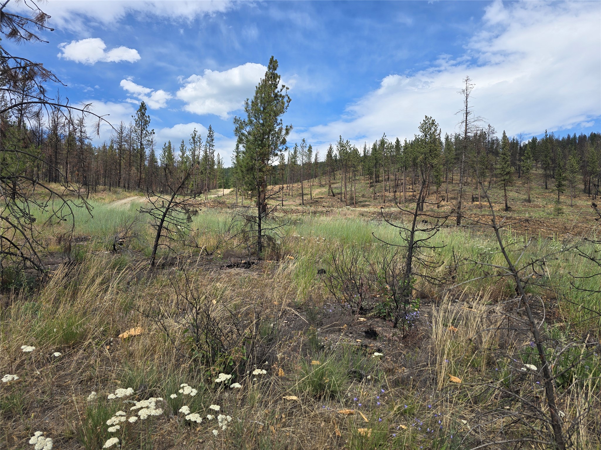 Nhn Mt Highway 28 Property Photo 1