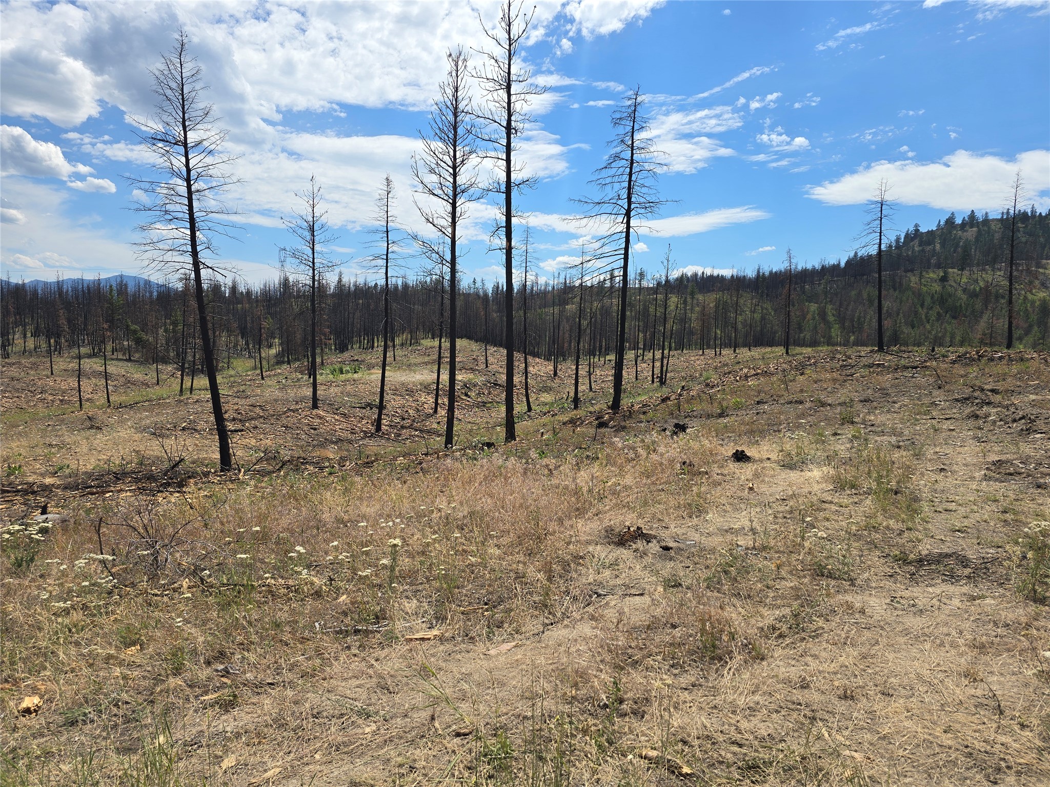 Nhn Mt Highway 28 Property Photo 5
