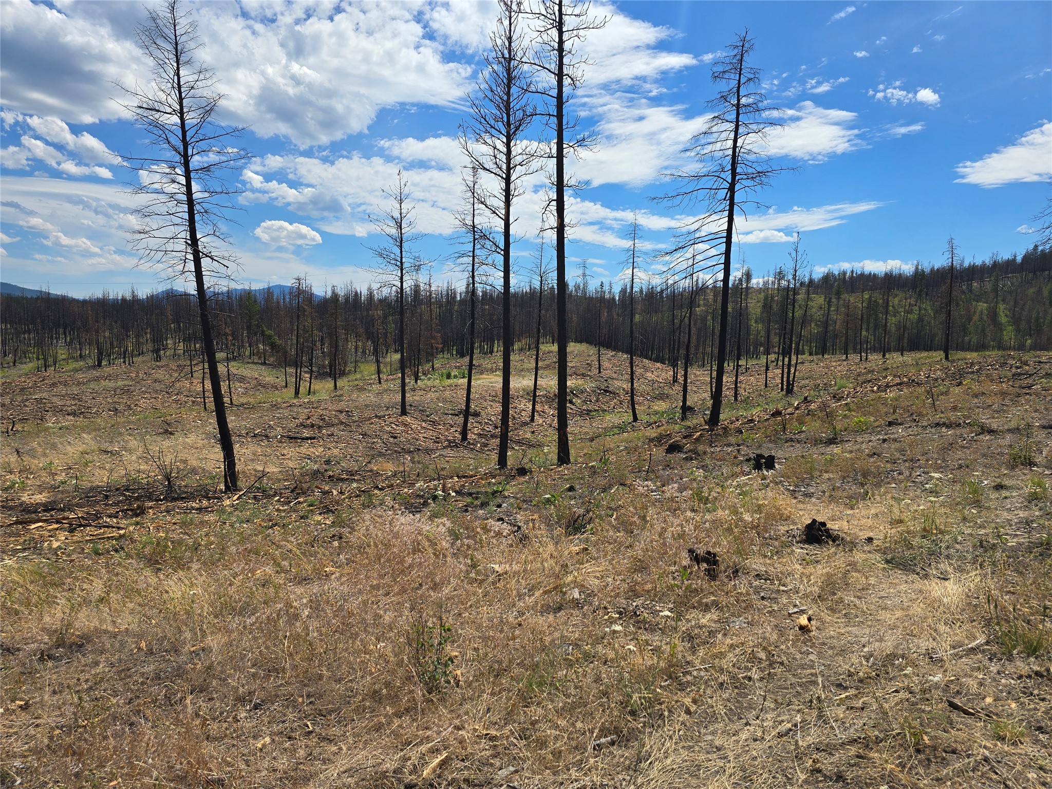 Nhn Mt Highway 28 Property Photo 8