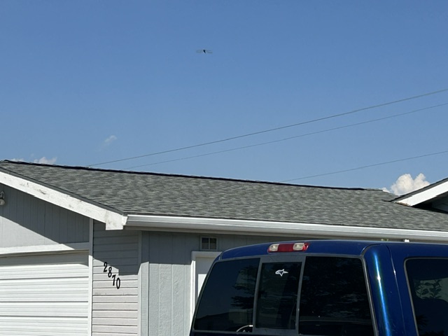 2870 Festival Road Property Photo 5