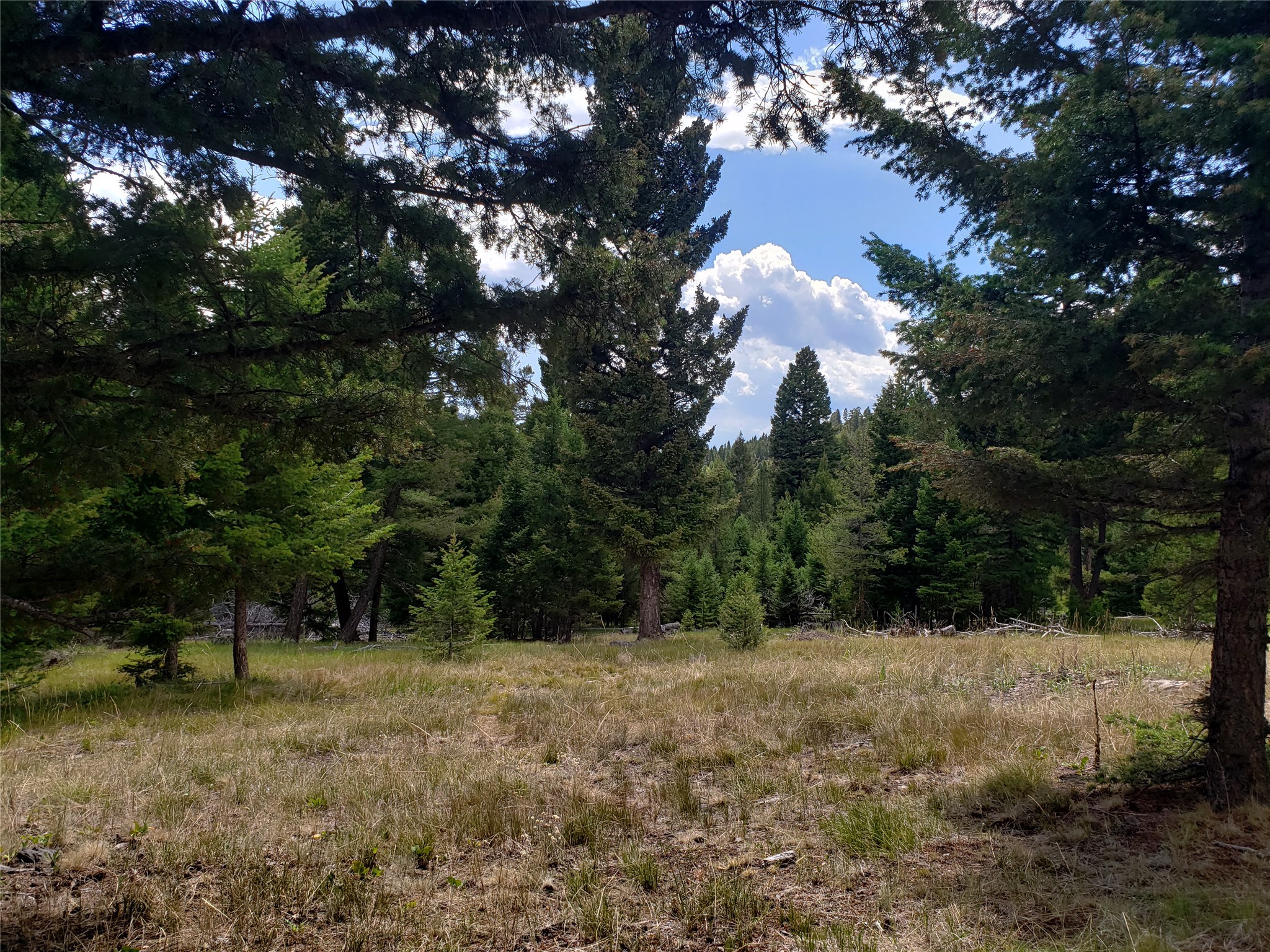300 Hematite Road Property Photo 3