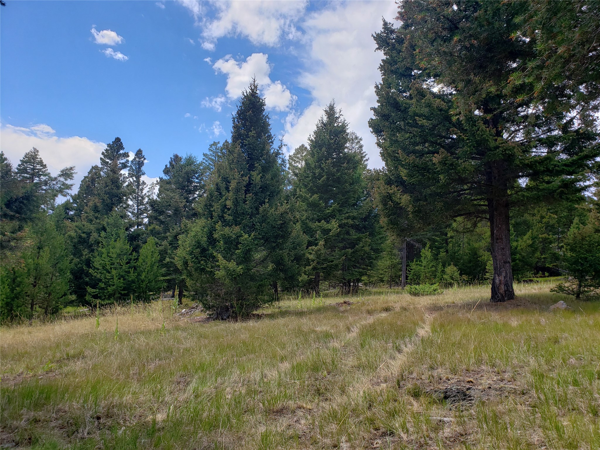 300 Hematite Road Property Photo 4