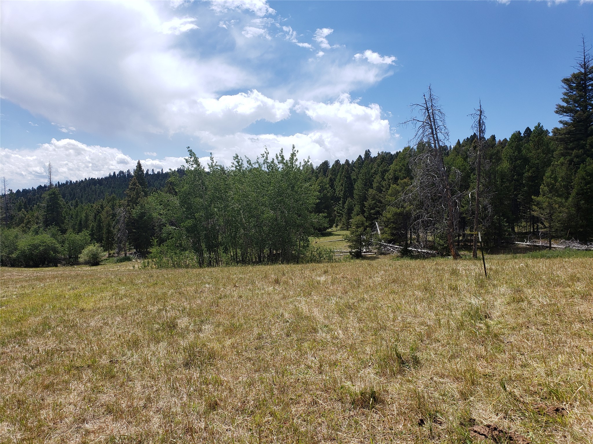 300 Hematite Road Property Photo 5