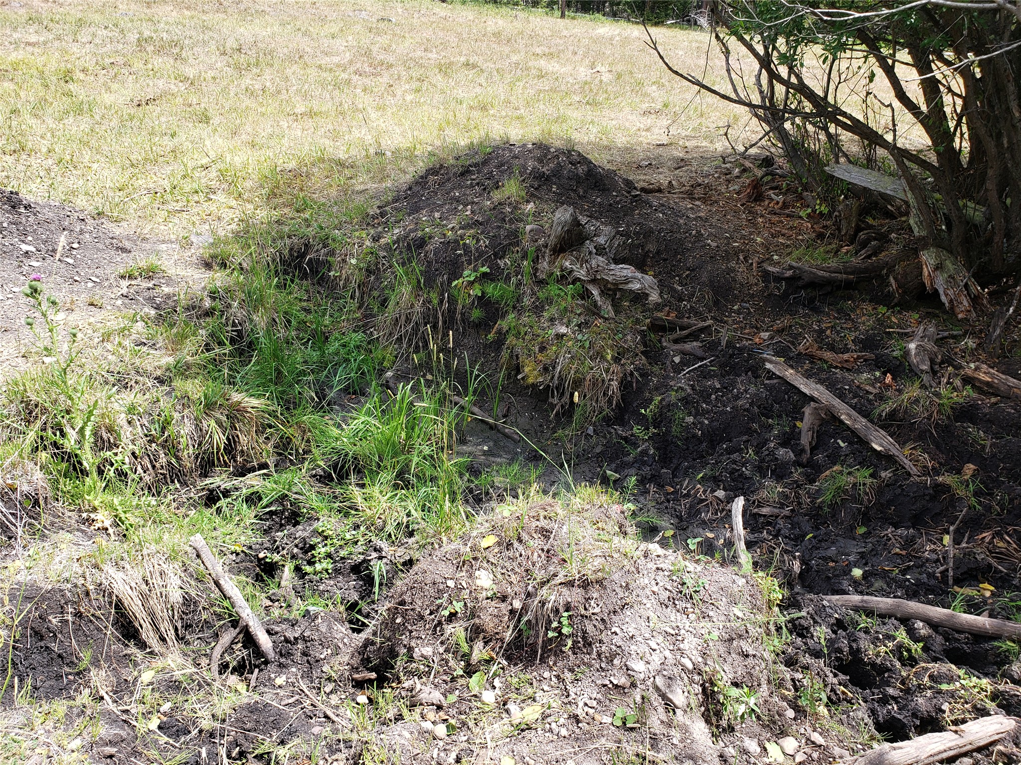 300 Hematite Road Property Photo 7
