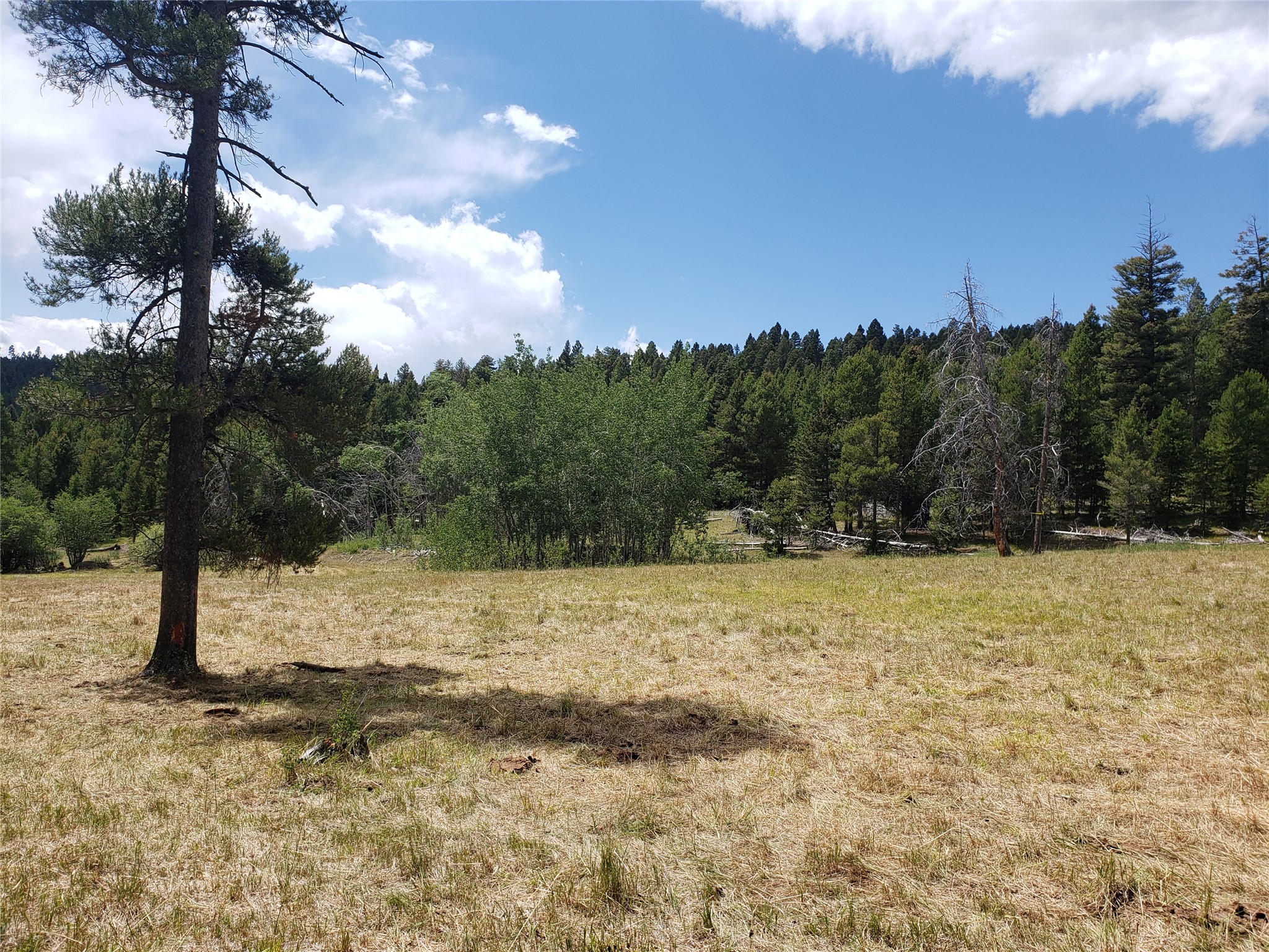 300 Hematite Road Property Photo 8