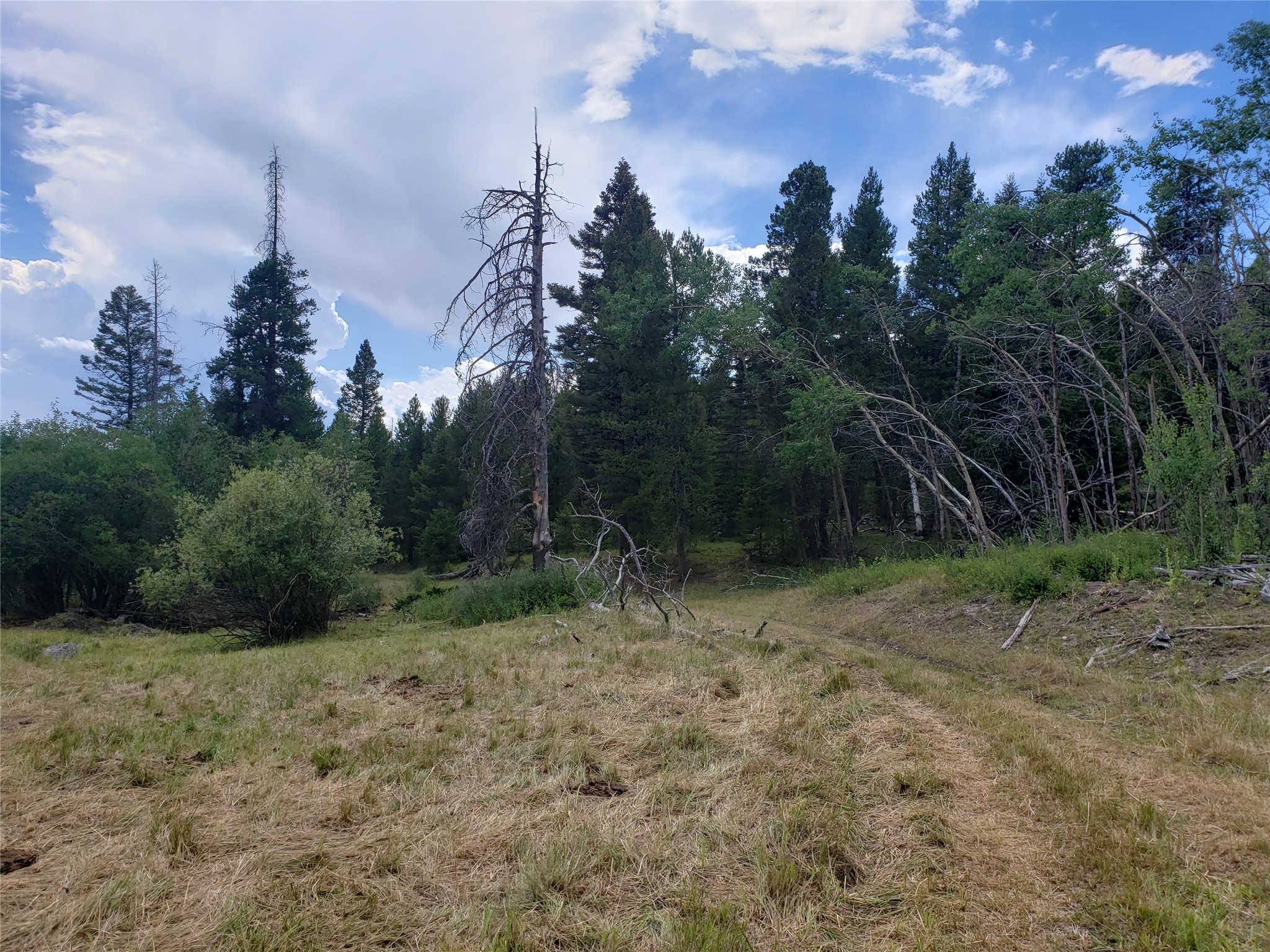 300 Hematite Road Property Photo 10