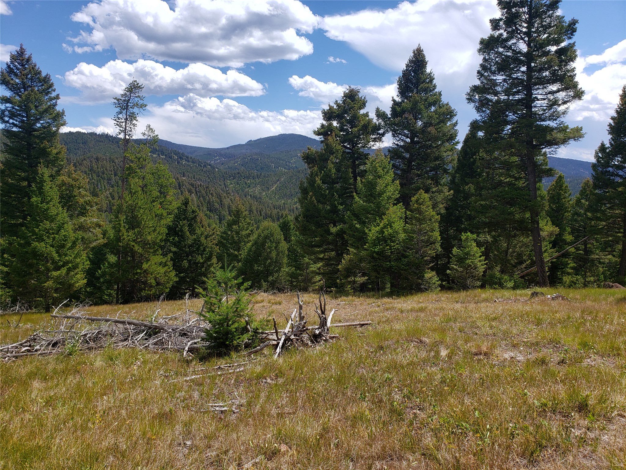 300 Hematite Road Property Photo 23