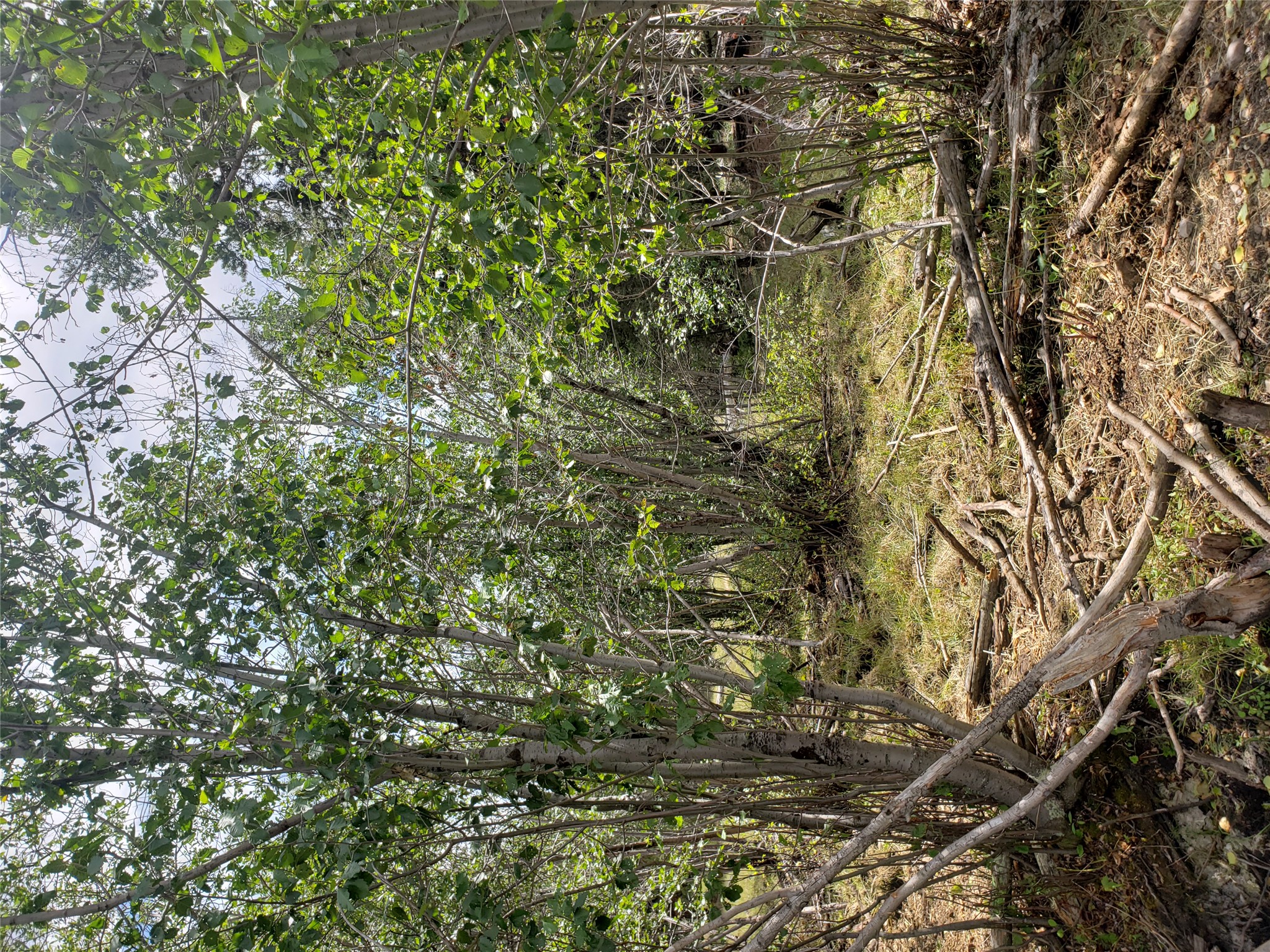 300 Hematite Road Property Photo 26