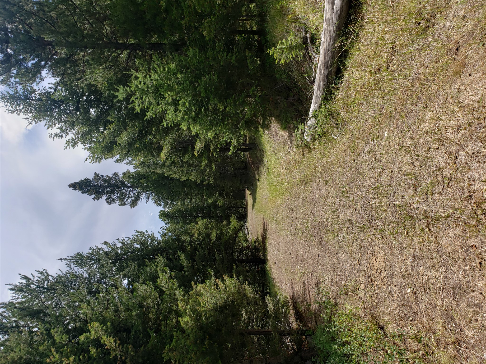 300 Hematite Road Property Photo 27
