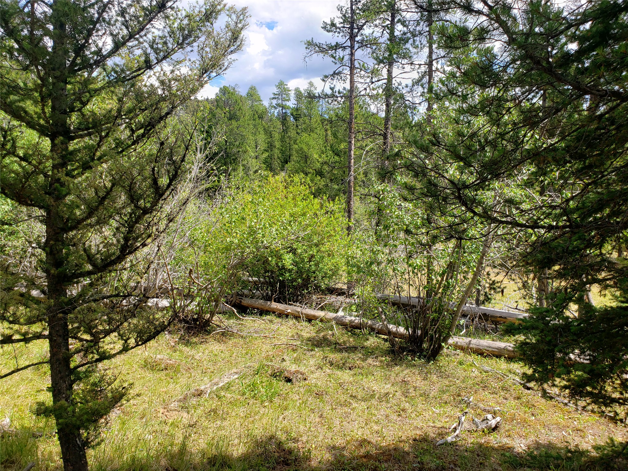 300 Hematite Road Property Photo 29