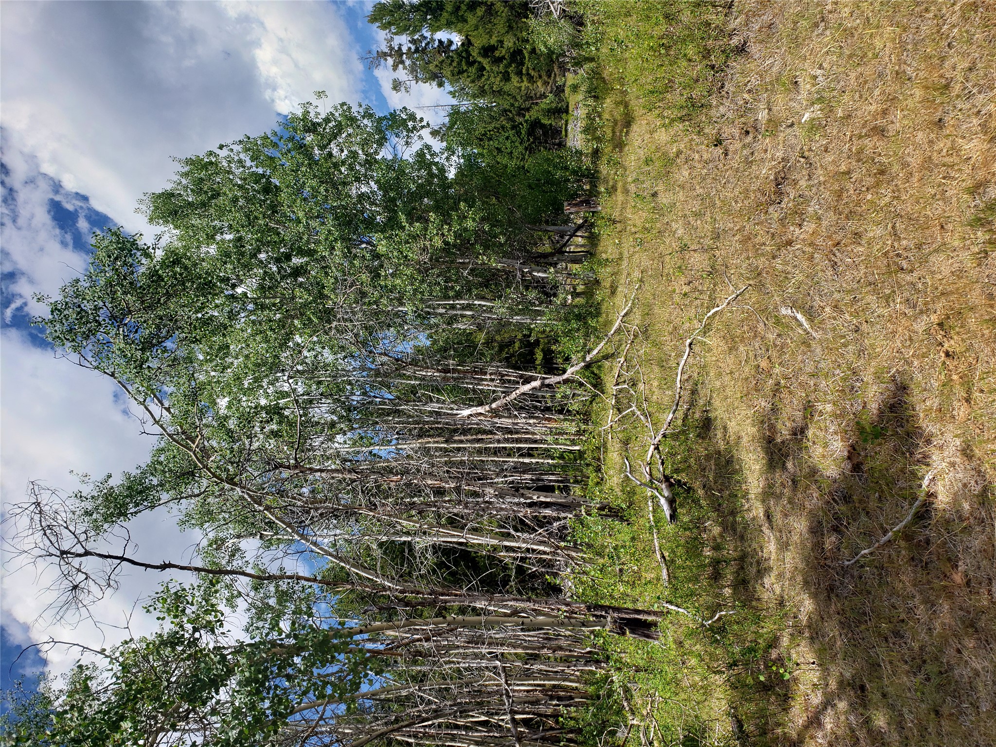 300 Hematite Road Property Photo 30