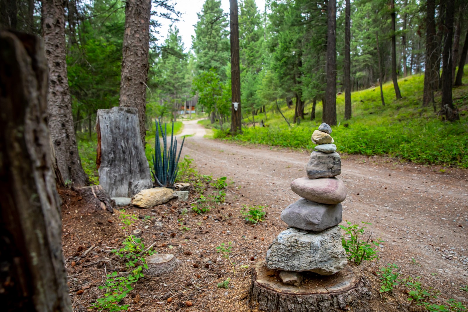 1085 K M Ranch Road Property Photo 53