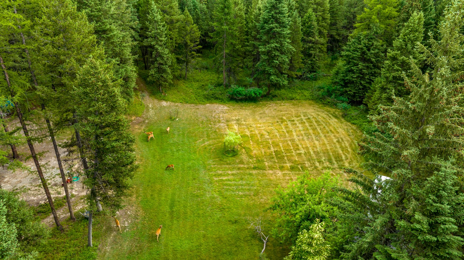 1085 K M Ranch Road Property Photo 63