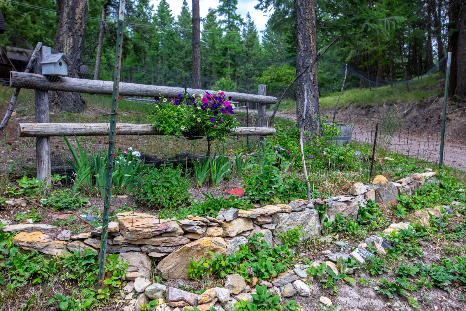 1085 K M Ranch Road Property Photo 64