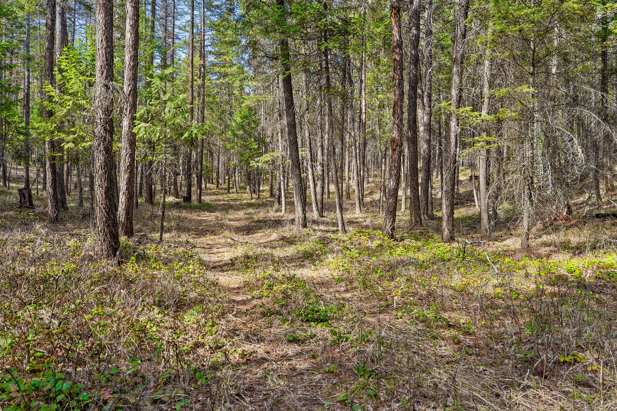 1085 K M Ranch Road Property Photo 69